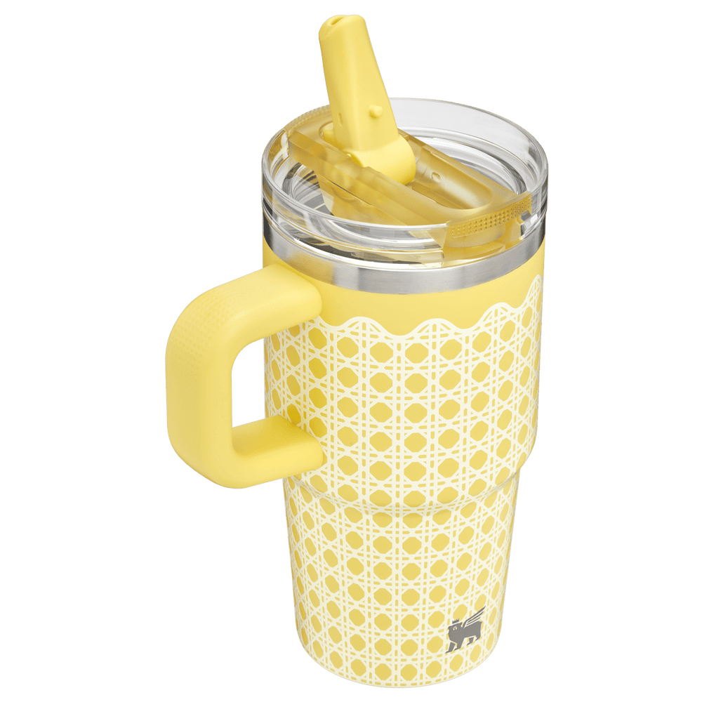 Stanley 1913 The Quencher® ProTour Flip Straw Tumbler  20 OZ Picnic Collection in Daffodil Ratan | View 2