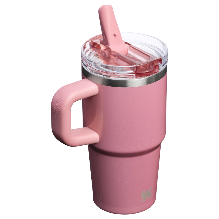 Stanley 1913 The Quencher® ProTour Flip Straw Tumbler 20 OZ in Port Shimmer | Back View