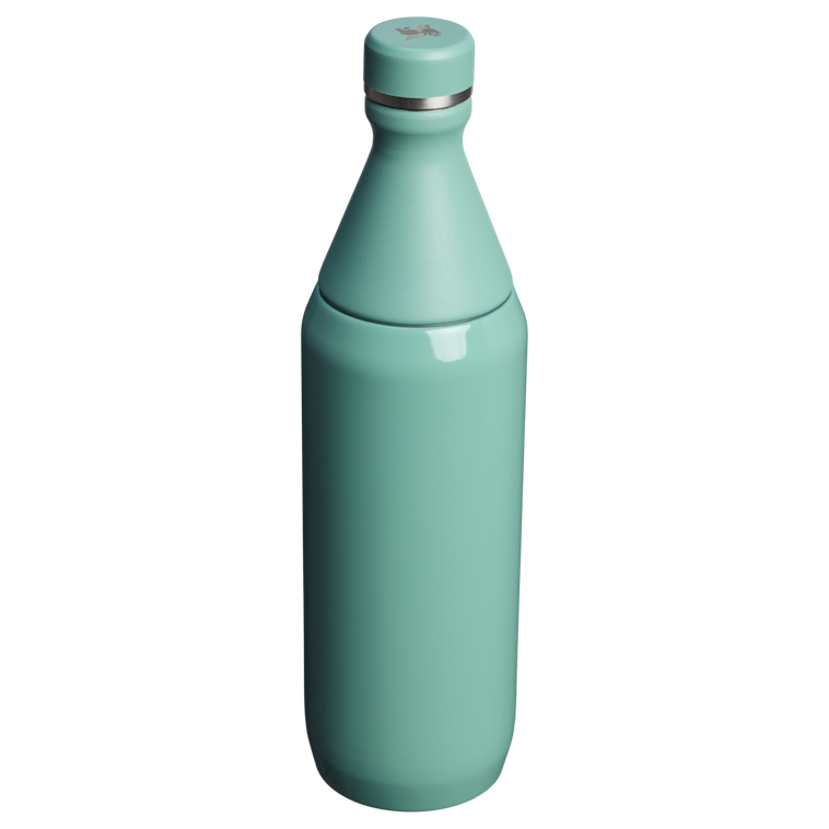 Stanley 1913 The All Day Slim Bottle 20 OZ in Spring Green | Back View