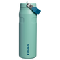 Swatch for Stanley 1913 The IceFlow™ Bottle with Flip Straw Lid 24 OZ in Spring Green | Front View