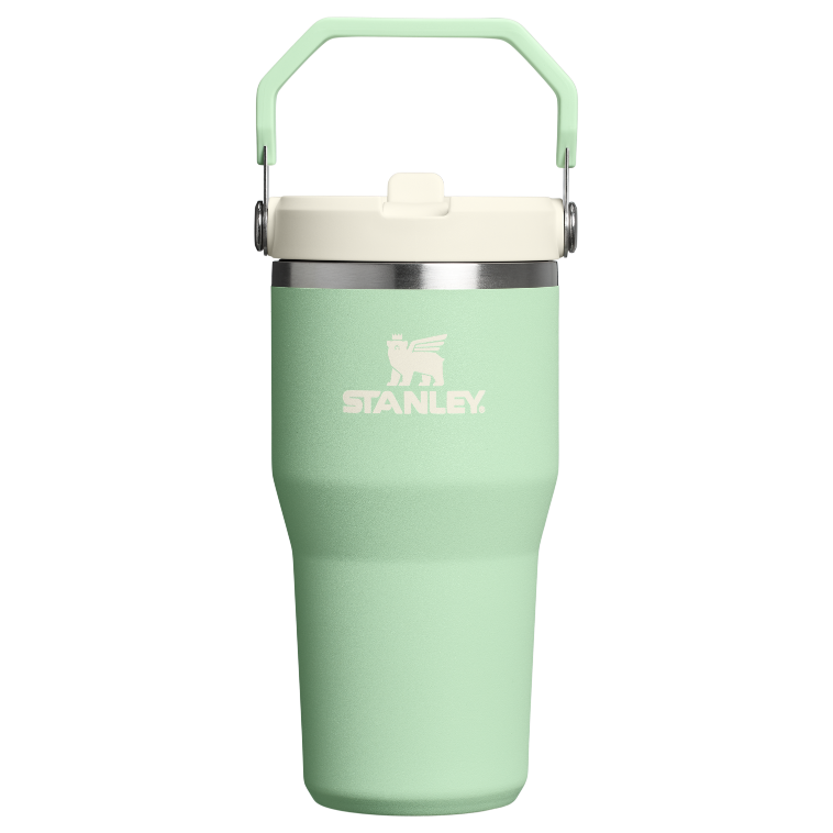 Stanley 1913 The IceFlow™ Flip Straw Tumbler 2.0 20 OZ in Pistachio