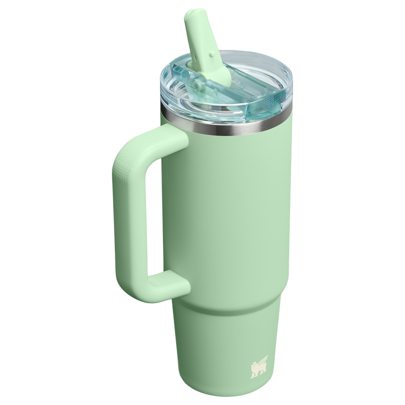 Stanley 1913 The Quencher ProTour Flip Straw Tumbler 30 OZ in Pistachio | Back View