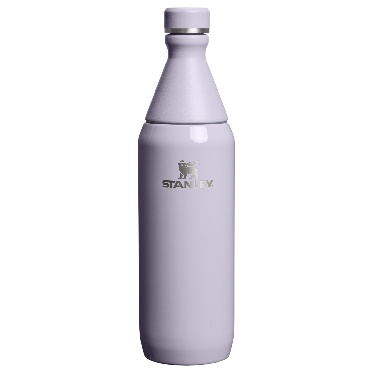 Stanley 1913 The All Day Slim Bottle 20 OZ in Purple Dust Gloss