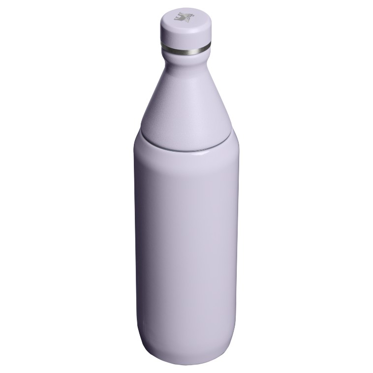Stanley 1913 The All Day Slim Bottle 20 OZ in Purple Dust Gloss