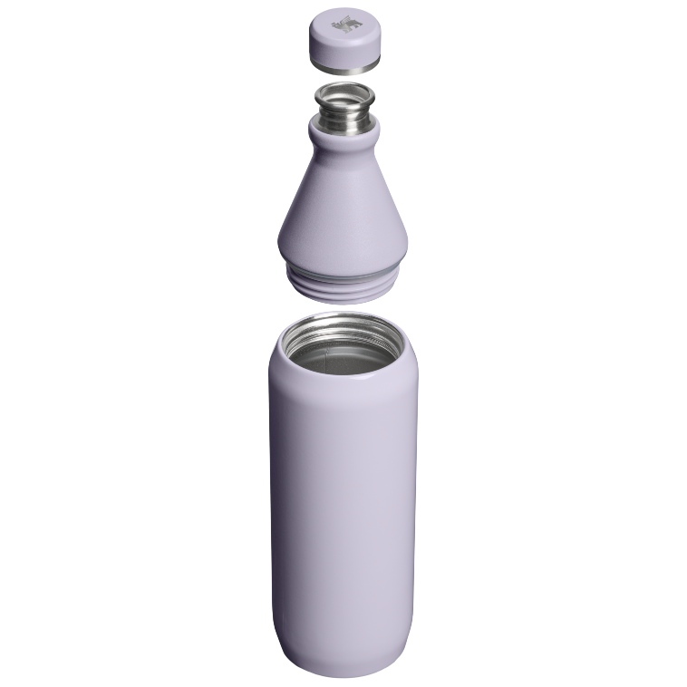 Stanley 1913 The All Day Slim Bottle 20 OZ in Purple Dust Gloss