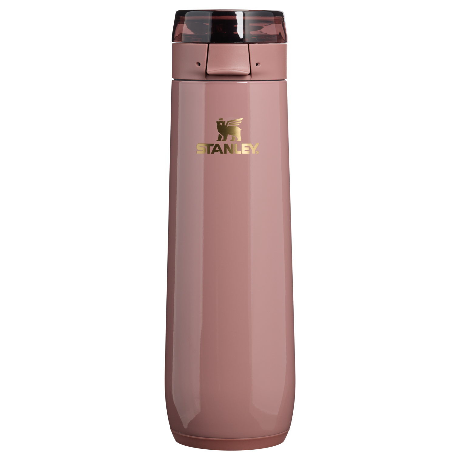 Stanley 1913 The Flowstate™ Spring Water Bottle20 oz Spring Reset Collection in Moab Gloss | Front View