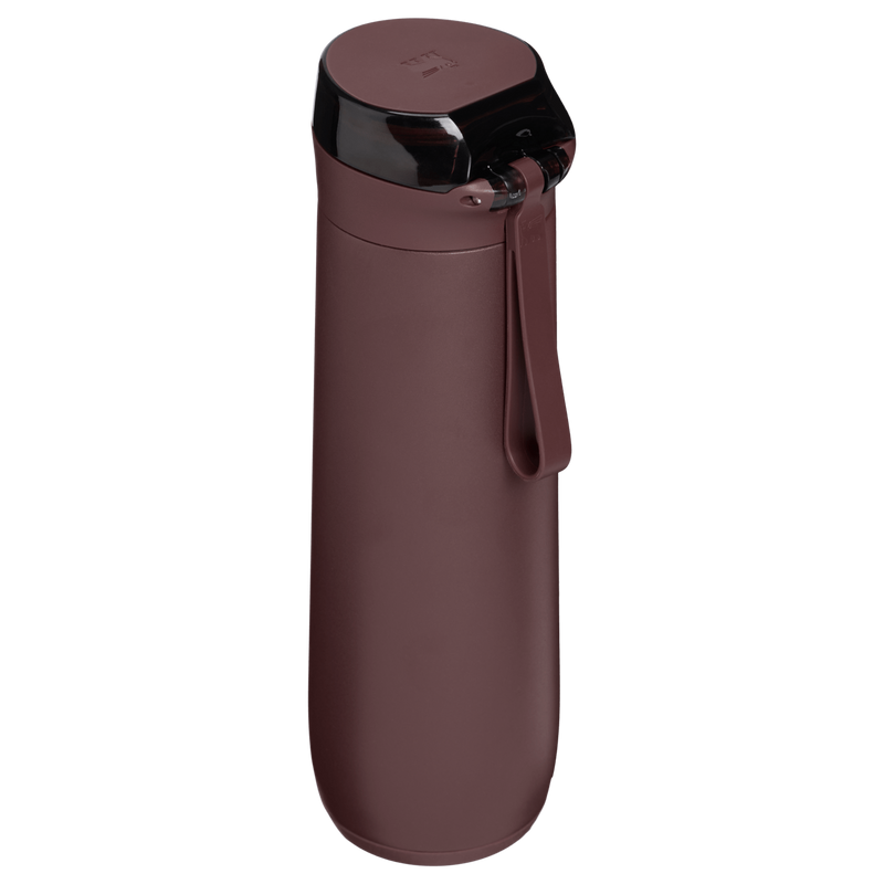 Stanley 1913 The Flowstate™ Spring Bottle 20 OZ in Coffee | Back View