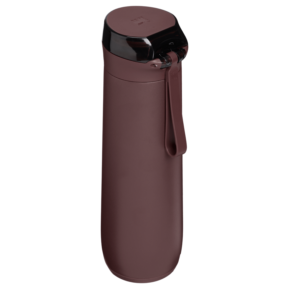 Stanley 1913 The Flowstate™ Spring Bottle 20 OZ in Coffee