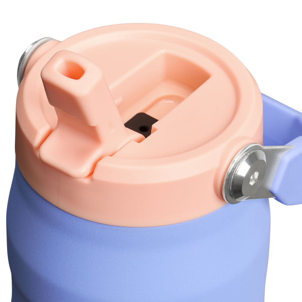 Stanley 1913 The IceFlow™ Bottle with Flip Straw Lid 24 OZ in Hydrangea Creamsicle
