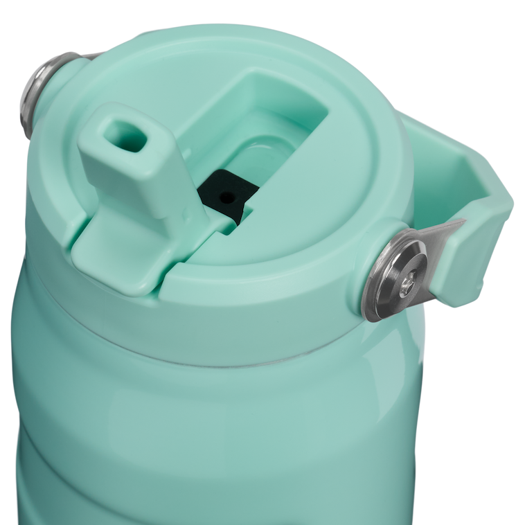 Stanley 1913 The IceFlow™ Flip Straw 2.0 Bottle 24OZ Wild and Free Collection in Teal Daisies
