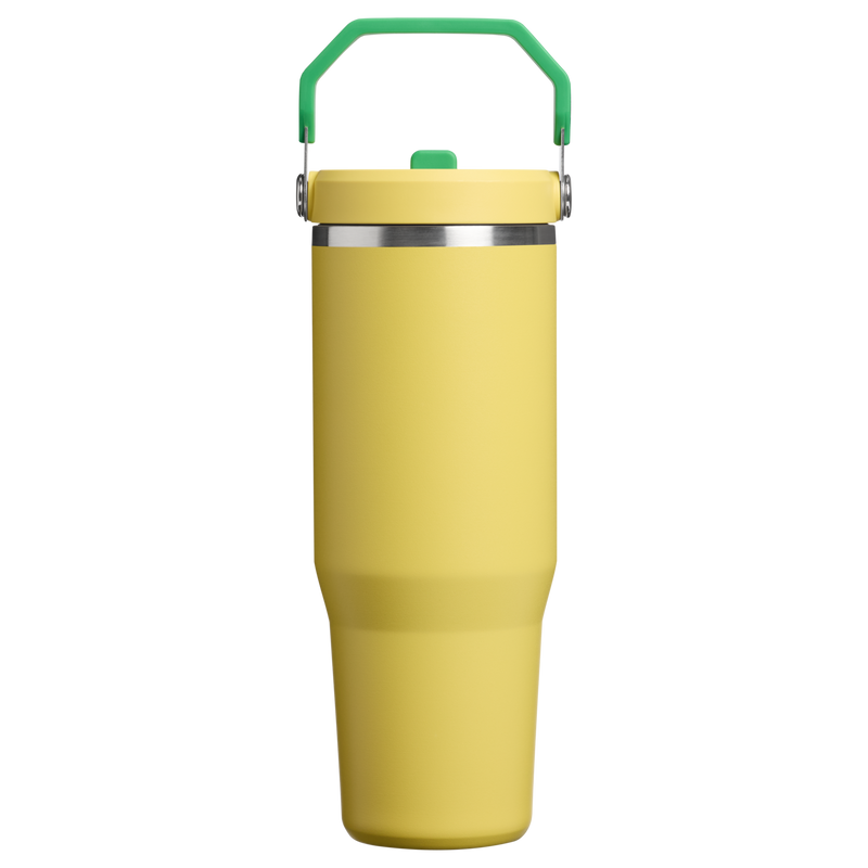 Stanley 1913 Country Collection IceFlow™ Tumbler 30 OZ in Team Yellow Green | Back View